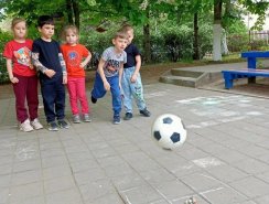 img (5)